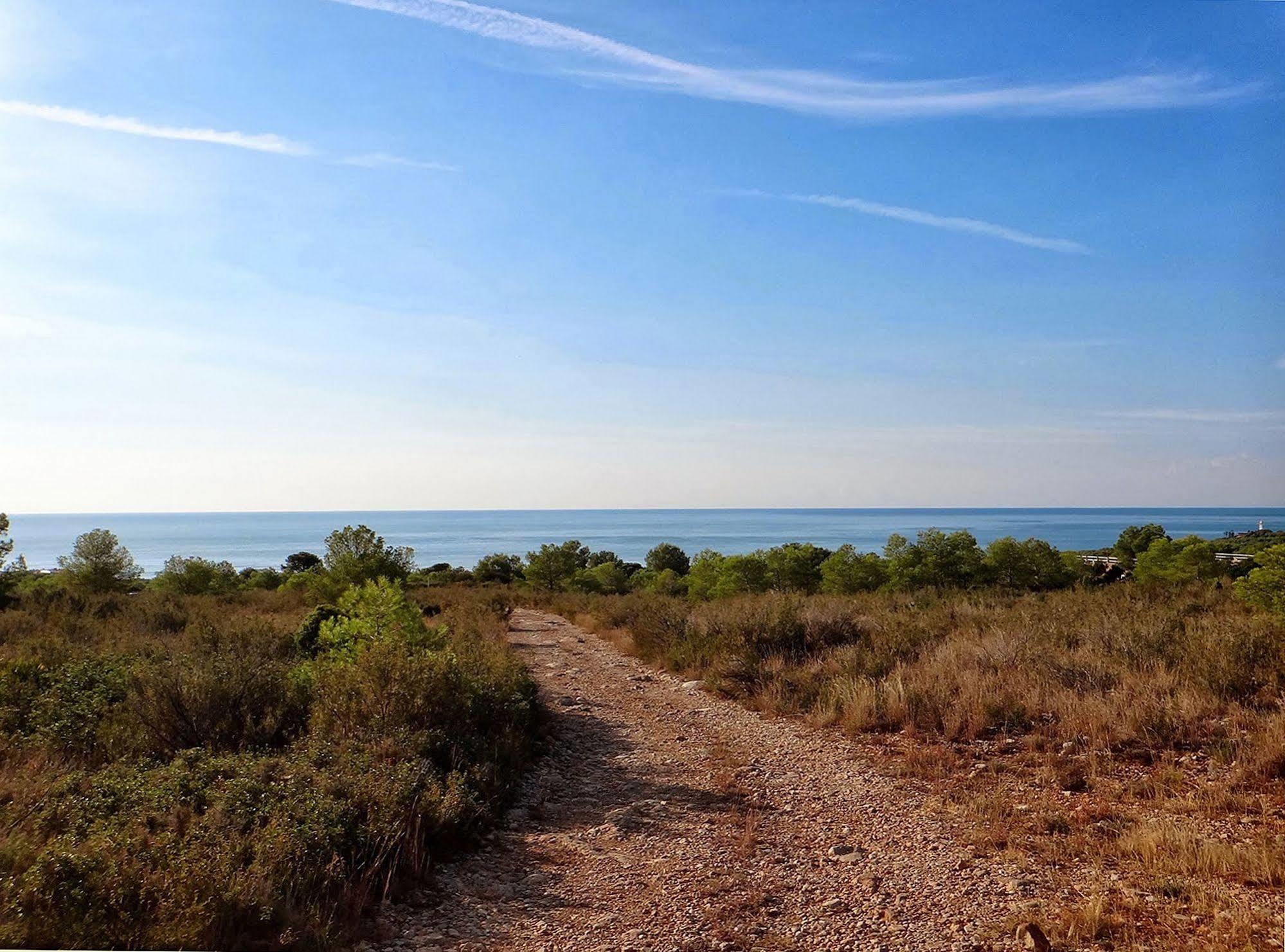 Apartamentos Palma Blanca 3000 Alcossebre Dış mekan fotoğraf